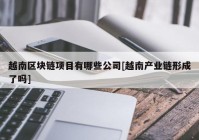 越南区块链项目有哪些公司[越南产业链形成了吗]