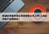 杨浦区块链开发公司有哪些公司上市[上海区块链产业园地址]